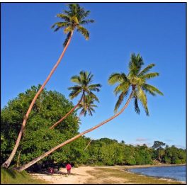 Australia and the South Pacific
