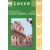 Lecce térkép - LAC