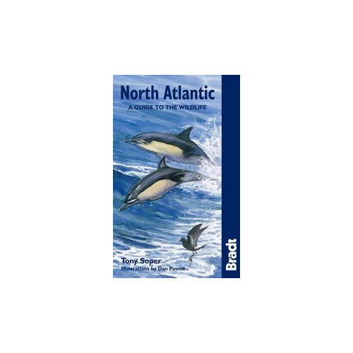 North Atlantic: A Guide to the Wildlife - Bradt