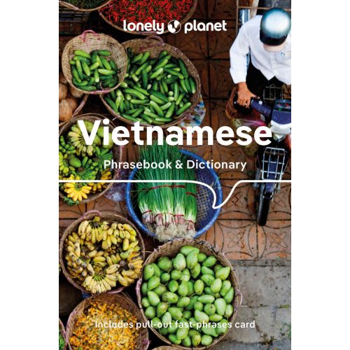 Vietnamese phrasebook - Lonely Planet