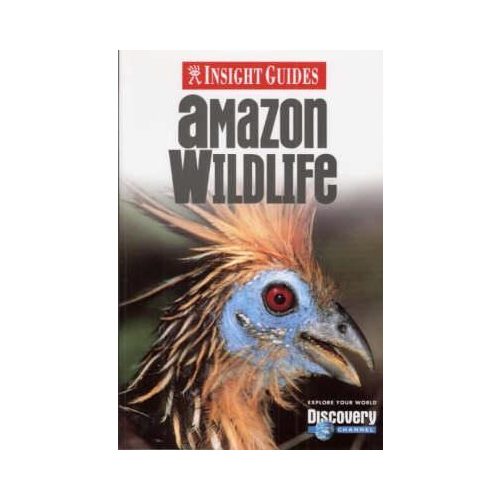 Amazon Wildlife Insight Guide 