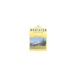 Montafon - Landestopographie T 238