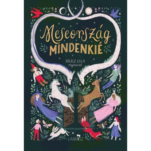 Fairyland is for Everyone - a children's book in Hungarian