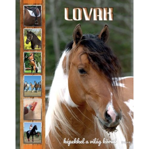 Horses - around the world with photos